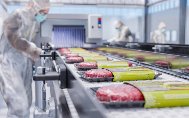 Frozen Food Production & Supply Chain