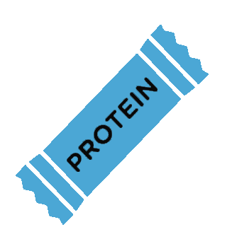 Protein bars manufacture’s